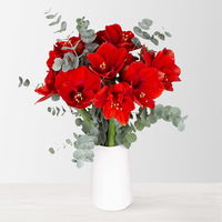 Schnittblumen-Mix aus 5 roten Amaryllis & 5 Eukalyptus