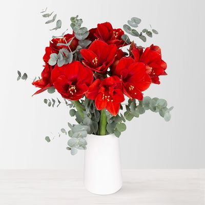 Schnittblumen-Mix aus 5 roten Amaryllis & 5 Eukalyptus Schnittblumen-Mix aus 5 roten Amaryllis & 5 Eukalyptus