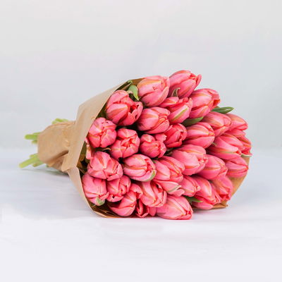 30 pinke Tulpen 'Pretty Princess' 30 pinke Tulpen 'Pretty Princess'