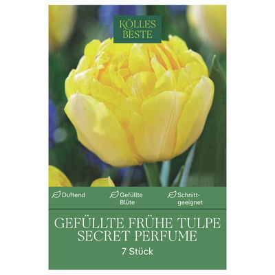 Gefüllte frühe Tulpen Secret Perfume, 7 Blumenzwiebeln