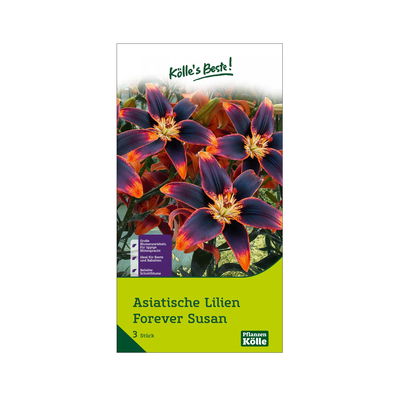 Asiatische Lilien 'Forever Susan', orange-dunkelrot, 3 Blumenknollen Asiatische Lilien 'Forever Susan', orange-dunkelrot, 3 Blumenknollen