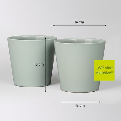 Schwertfarn in Keramiktopf Dallas gletscherblau, Topf-Ø 12cm, 2 Pflanzen Schwertfarn in Keramiktopf Dallas gletscherblau, Topf-Ø 12cm, 2 Pflanzen