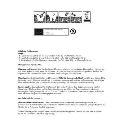 Kölles Beste Blumenknollenmischung 'Dahlientraum' Kölles Beste Blumenknollenmischung 'Dahlientraum'