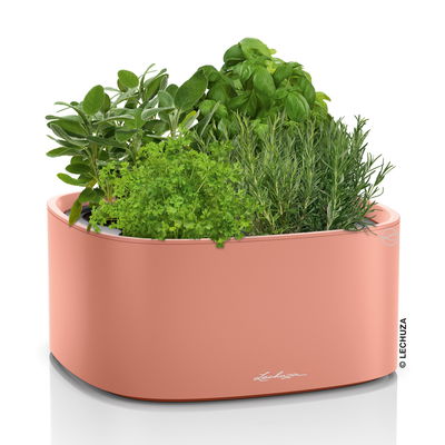 Lechuza 'Pila Color Stick', korallrot, ca. 35 x 35 x H 16,6 cm Lechuza 'Pila Color Stick', korallrot, ca. 35 x 35 x H 16,6 cm