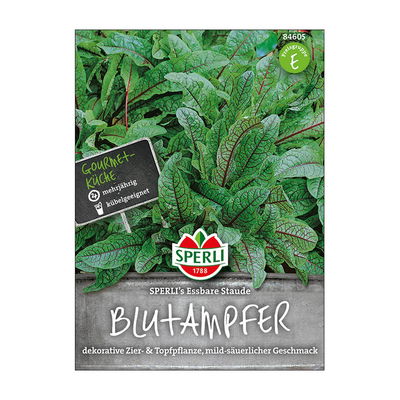 Sperli's Blutampfer, essbare Staude, Rumex sanguineus Sperli's Blutampfer, essbare Staude, Rumex sanguineus