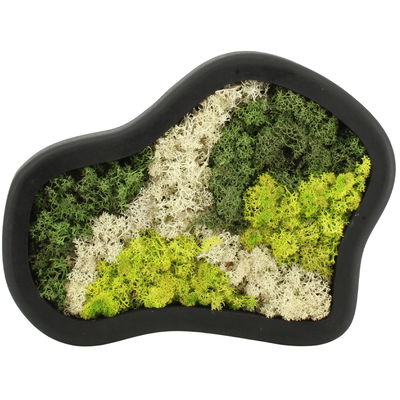 Moosbild organische Form, mit schwarzem Rahmen, klein, ca. 30 x 30 cm