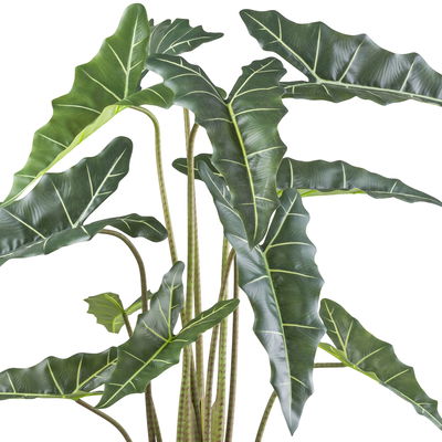 Künstliche Alocasia zebrina 'Sarian', Höhe ca. 130 cm Künstliche Alocasia zebrina 'Sarian', Höhe ca. 130 cm