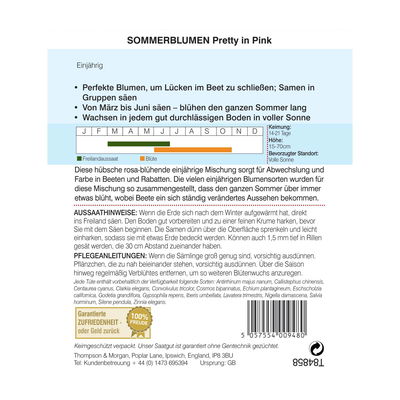 Sommerblumen-Mischung „Pretty in Pink“ (Helianthus annuus) Sommerblumen-Mischung „Pretty in Pink“ (Helianthus annuus)