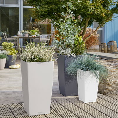 Lechuza 'Cubico Color 30', weiß, ca. 29,5 x 29,5 x H 56,5 cm Lechuza 'Cubico Color 30', weiß, ca. 29,5 x 29,5 x H 56,5 cm