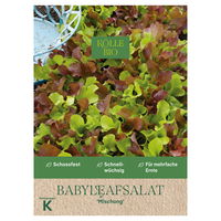 Kölle Bio Saatgut Babyleaf-Salat 'Mesclun', grün