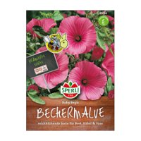 Blumensamen, 'Bechermalve Ruby Regis', dunkelrosa