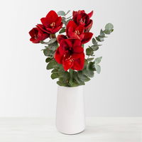 Schnittblumen-Mix aus 3 weihnachtsroten Amaryllis & 3 Eukalyptus