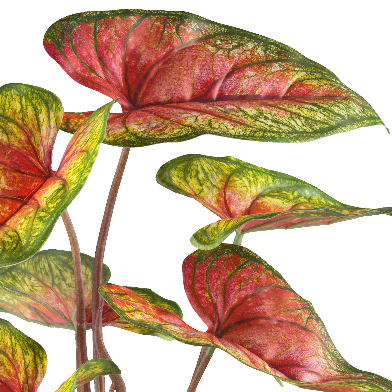 Kunstpflanze Caladium 'Red Flash' im Topf, Höhe ca. 55 cm