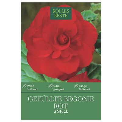 Kölles Beste Blumenknollen, Gefüllte Begonie 'Rot'