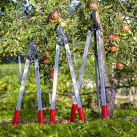 Felco Astschere, Nr. 221-90 Felco Astschere, Nr. 221-90