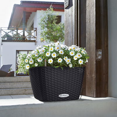 Lechuza 'Bacino Cottage', graphitschwarz, ca. 30 x 30 x H 18 cm Lechuza 'Bacino Cottage', graphitschwarz, ca. 30 x 30 x H 18 cm