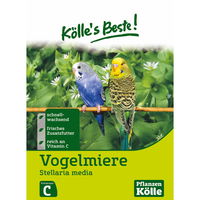 Kölle's Beste Vogelmiere, 7 g