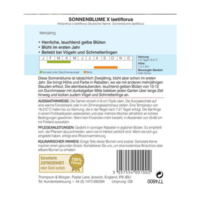 Thompson & Morgan Blumensamen Sonnenblume Helianthus X Laetiflorus