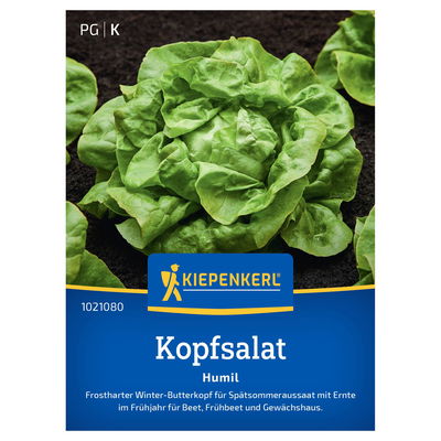 Kiepenkerl Saatgut Kopfsalat 'Humil' Kiepenkerl Saatgut Kopfsalat 'Humil'