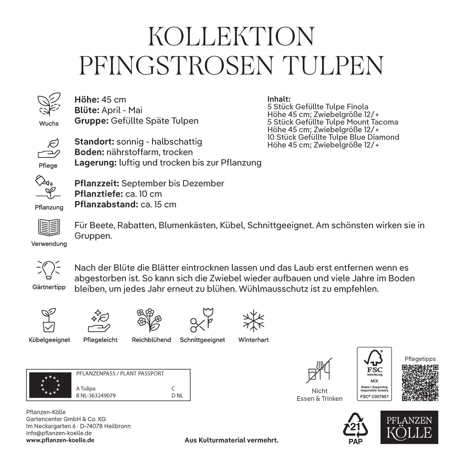 Pfingstrosen-Tulpen, weiß, rosa & lila, 20 Blumenzwiebeln