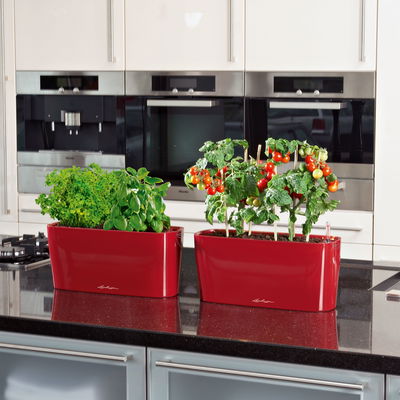 Lechuza 'Delta 20', scarlet-rot, ca. 40 x 15 x H 18 cm