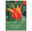 Dufttulpe 'Fly Away'®, 7 Zwiebeln, rot/gelb, Gr. 12+
