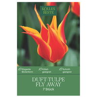 Dufttulpe 'Fly Away'®, 7 Zwiebeln, rot/gelb, Gr. 12+