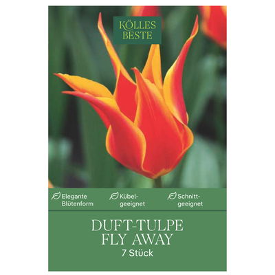 Dufttulpe 'Fly Away'®, 7 Zwiebeln, rot/gelb, Gr. 12+ Dufttulpe 'Fly Away'®, 7 Zwiebeln, rot/gelb, Gr. 12+