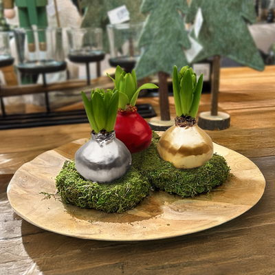 Asiamoos-Kranz, grün, Ø ca. 10 cm, 10 Stück