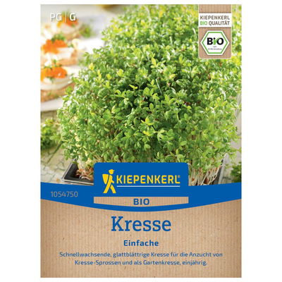 Gemüsesamen, BIO-Kräuter Kresse Gemüsesamen, BIO-Kräuter Kresse