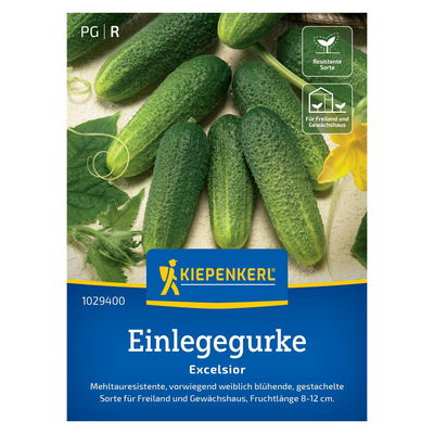 Gemüsesamen, Einlegegurken 'Excelsior', grün