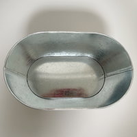 'Danke' - Dipladenien 'Qdeville®' rosa in Zinkschale