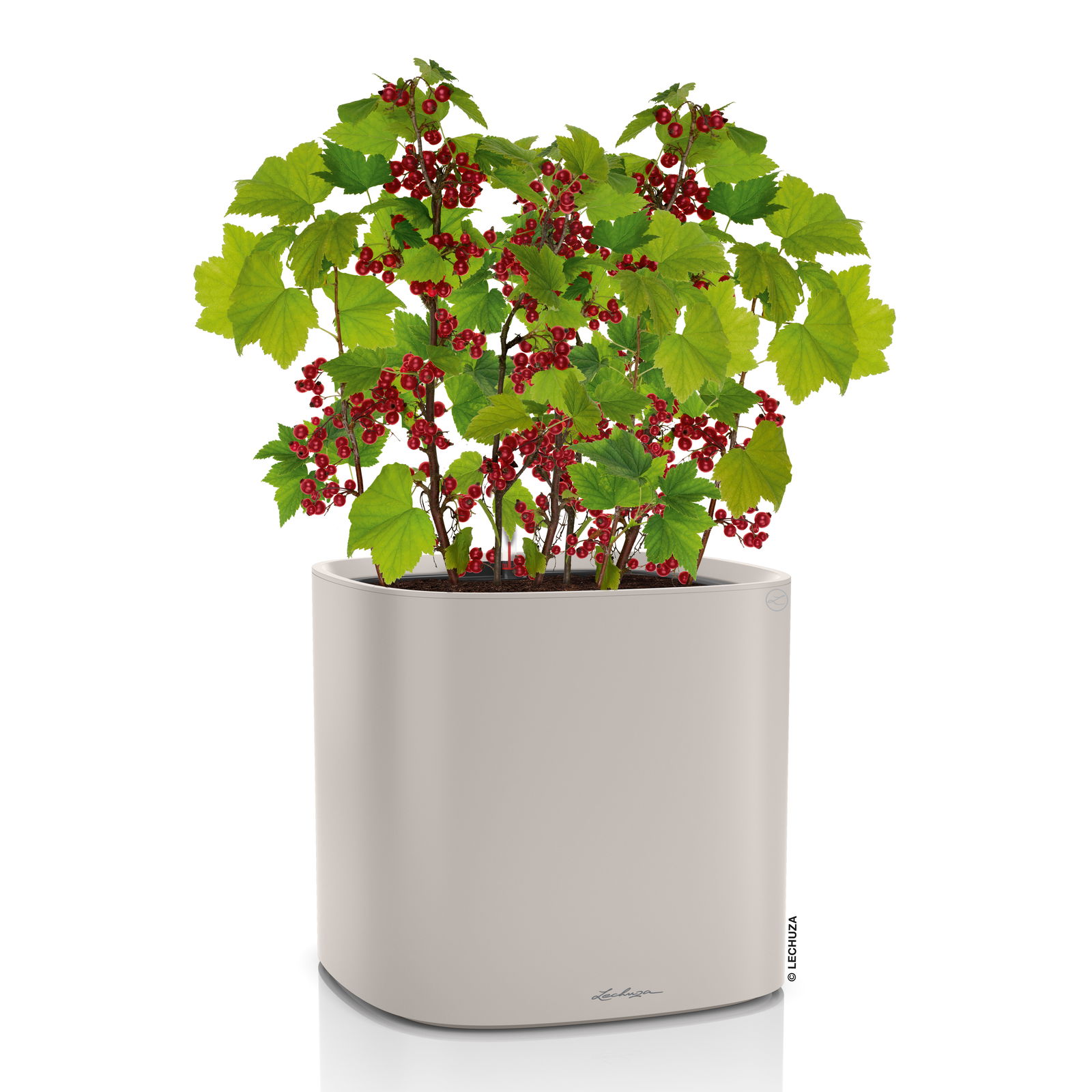 Lechuza 'Pila Color Planter', sandbraun, 35 x 35 x H 32,5 cm