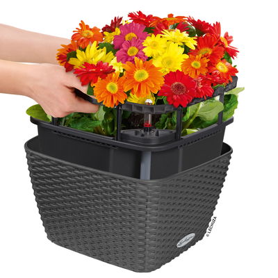 Lechuza 'Bacino Cottage', granit, ca. 30 x 30 x H 18 cm Lechuza 'Bacino Cottage', granit, ca. 30 x 30 x H 18 cm