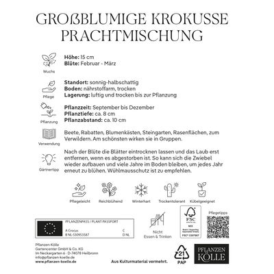 großblumige Krokusse Prachtmischung, 25 Blumenzwiebeln großblumige Krokusse Prachtmischung, 25 Blumenzwiebeln