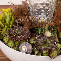 Online Kreativ-Kurs Online Kreativ-Kurs