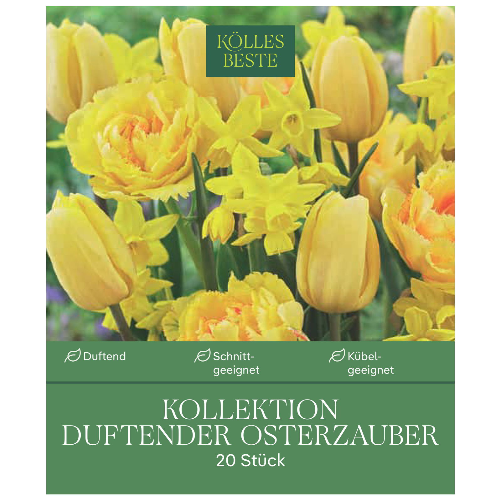 Tulpen & Narzissen Mischung 'Osterzauber-Duftmischung', 20 Blumenzwiebeln Tulpen & Narzissen Mischung 'Osterzauber-Duftmischung', 20 Blumenzwiebeln