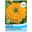 Thompson & Morgan Saatgut Studentenblume 'Glow Up Gold', orange