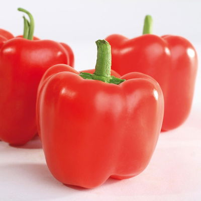 Blu Bio Snackpaprika 'Popti', Topf-Ø 12 cm, 3er-Set Blu Bio Snackpaprika 'Popti', Topf-Ø 12 cm, 3er-Set