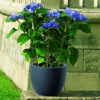 Euro 3 Plast Pflanzkübel 'Etria', perlschwarz, ca. Ø 54 x H 44 cm Euro 3 Plast Pflanzkübel 'Etria', perlschwarz, ca. Ø 54 x H 44 cm