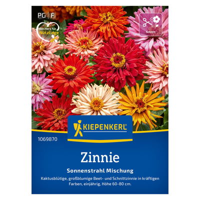Saatgut, Kaktus-Zinnie 'Sonnenstrahl-Mischung' Saatgut, Kaktus-Zinnie 'Sonnenstrahl-Mischung'