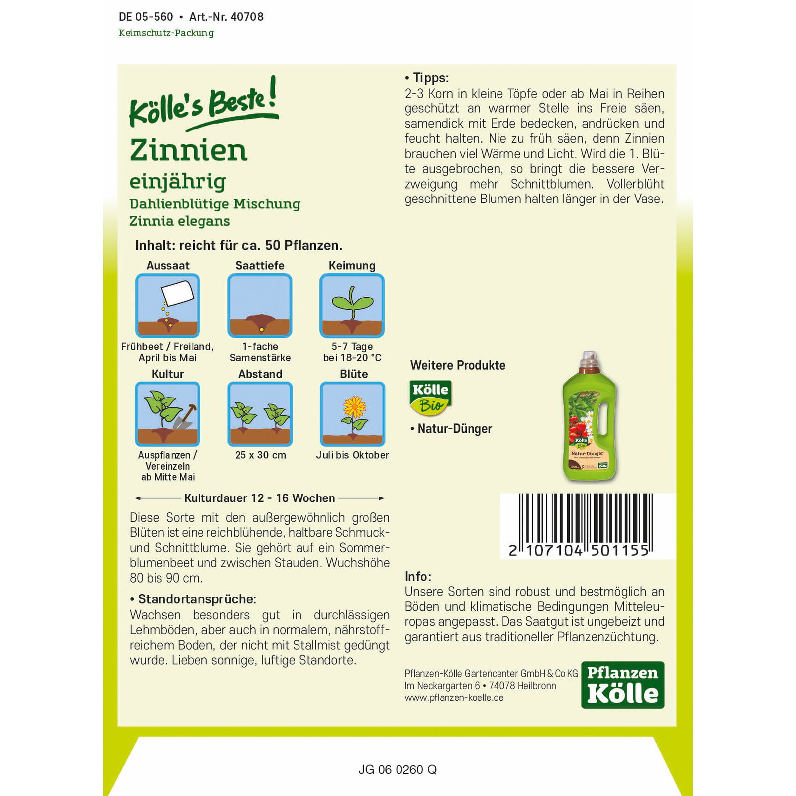 Kölle's Beste Blumensamen Zinnien Dahlienblütige Mischung (Zinnia)