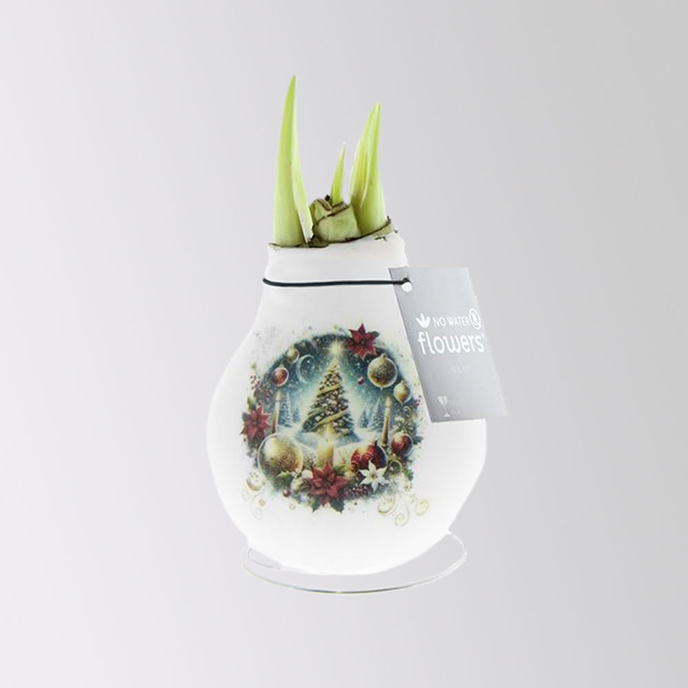 Amaryllis in Wachs, Dekor 'Christmas Eve' nach Verfügbarkeit, Blüte rot