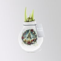 Amaryllis in Wachs, Dekor 'Christmas Eve' nach Verfügbarkeit, Blüte rot