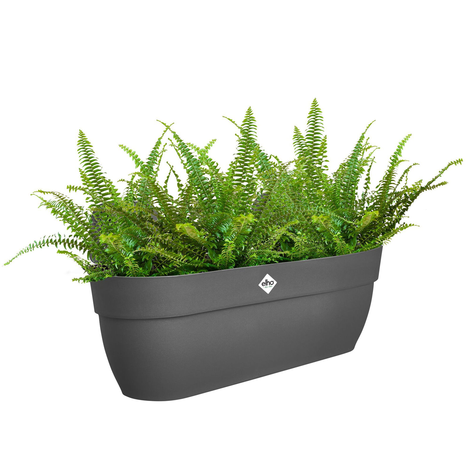 Elho Pflanzgefäß 'Vibia Campana Easy Hanger XL', anthrazit Elho Pflanzgefäß 'Vibia Campana Easy Hanger XL', anthrazit