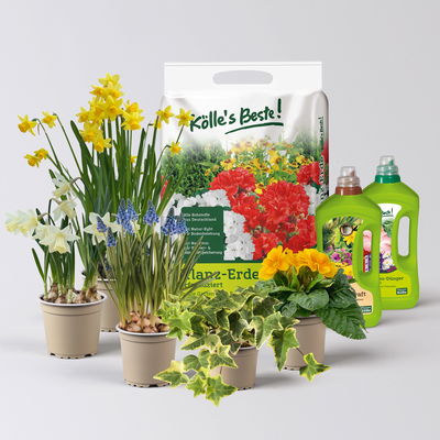 Pflanzenkreation Frühlingsgruß, 5 Pflanzen inkl. Erde & Dünger Pflanzenkreation Frühlingsgruß, 5 Pflanzen inkl. Erde & Dünger