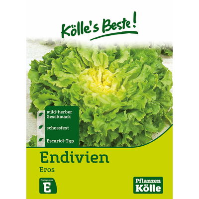 Kölles Beste Gemüsesamen Endivien Eros