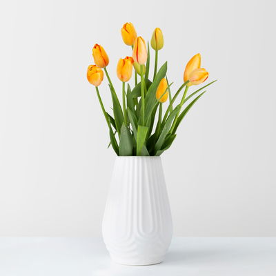10 lachsorangene Tulpen