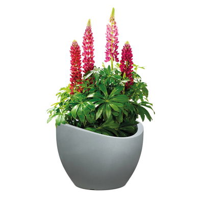 Scheurich Jardiniere 'Wave Globe', Stony Grey, ca. 58 x 24 x H 23 cm