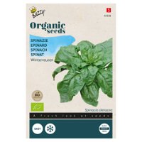 Bio Gemüsesamen, Bio-Spinat 'Securo', grün, 15 g